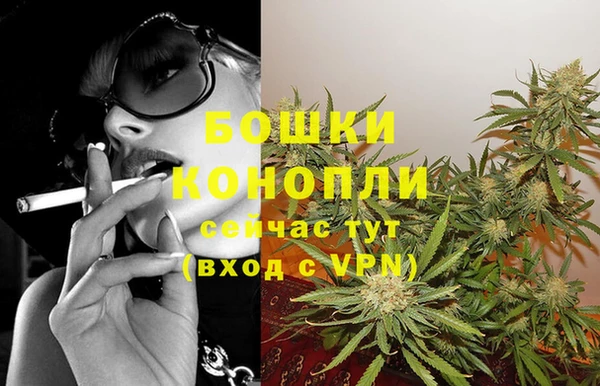 сатива Богданович