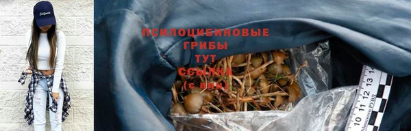 сатива Богданович