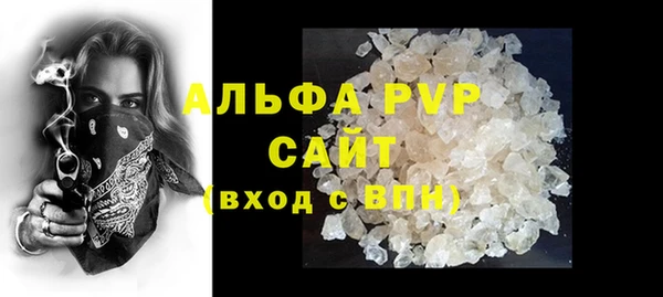 сатива Богданович
