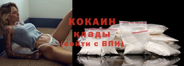 сатива Богданович