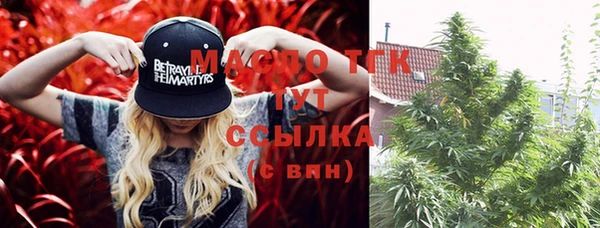сатива Богданович