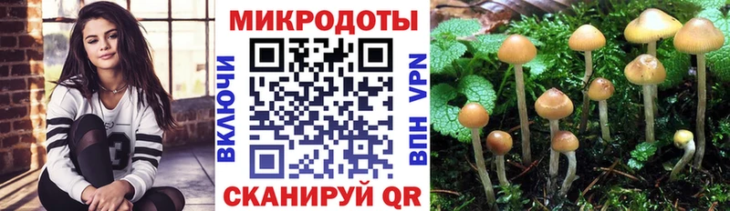 даркнет сайт  Вельск  Псилоцибиновые грибы прущие грибы 